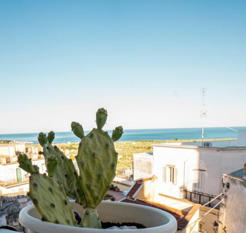 Bed & Breakfast Casa Junno