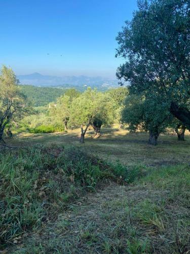 Naples Countryside Dome Experience