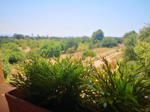 Villa Palma Country House