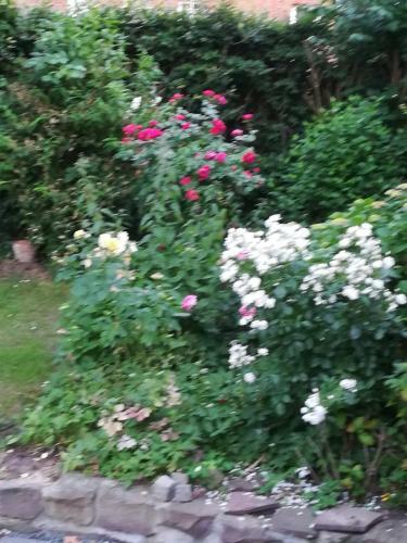Hostal Privatzimmer Hamburg Alsterdorf