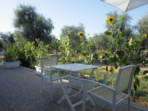 B&B Masseria Liberatore