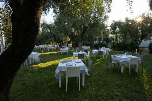 Ferienwohnung Ulivo Mit Pool Und Privatstrand