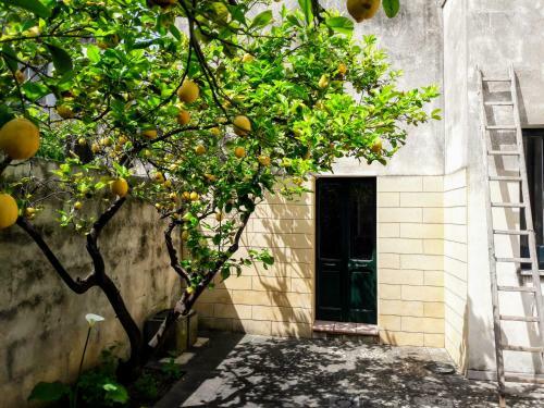 Casa A Corte - Il Tramontana
