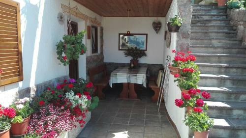Apartamento Alpenrose