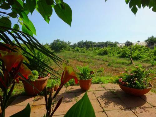 Agroturismo Giardini Romeo La Melia