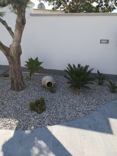 Hostal Donna Concetta