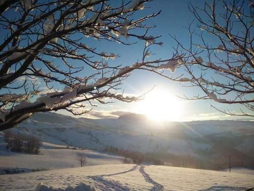 Apartamento Fra Bosco E Cielo B&B