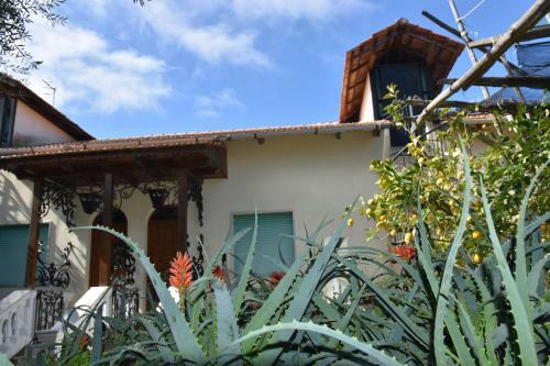 Apartamento De Gregorio