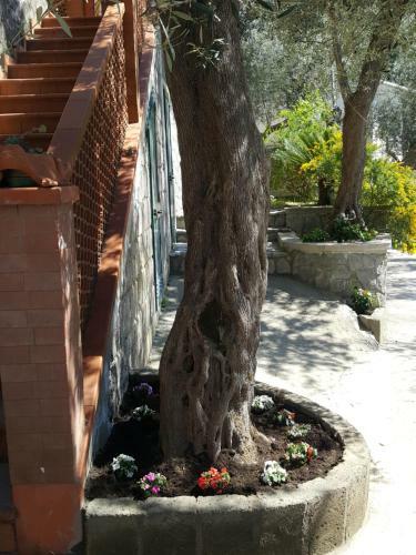 La Scaletta Casa Vacanze