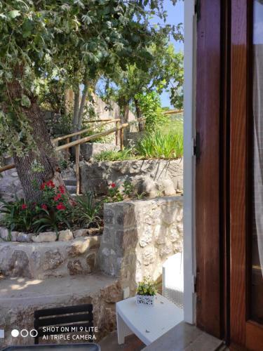 Bed & Breakfast Acquamarina Accommodation
