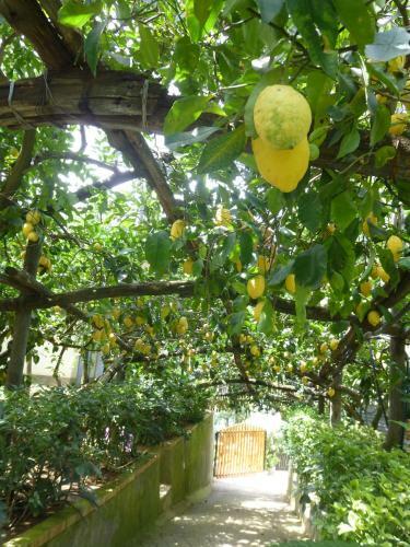 Apartamento Il Viale