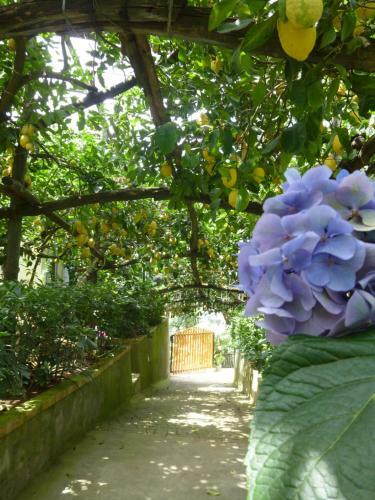 Apartamento Il Viale