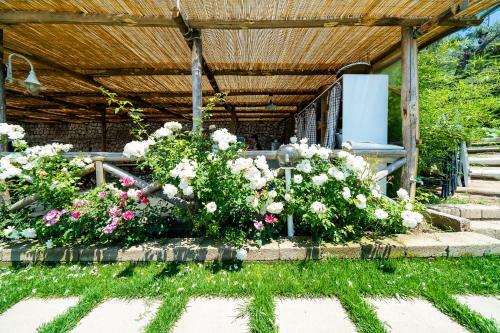 Bed & Breakfast Villa Lorelei