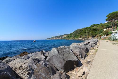 Villa Carlotta - Relax A Due Passi Dal Mare