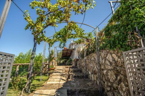 Villa Il Frutteto