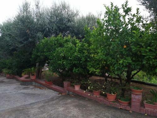 Hostal Villa Giannina