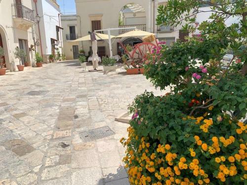 Apartamento Perla Barocca Centro Storico Mesagne
