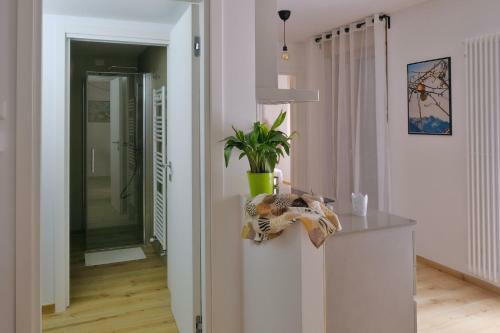 Apartamento Appartamenti Alle 5 Torri
