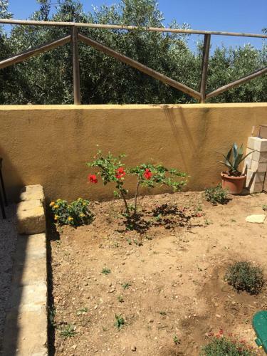Casa Vacanze ?allo Stagnone?