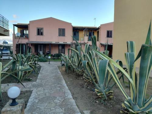 Kite Francy's House