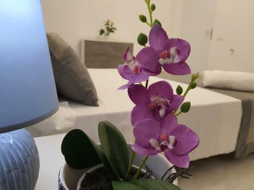 Apartamento Appartamento Mattia