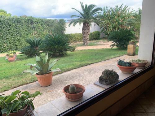 Bed & Breakfast Villa I Dammusi