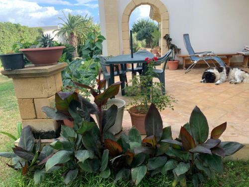 Bed & Breakfast Villa I Dammusi