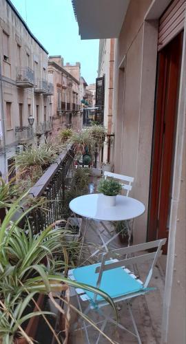 Damiani House