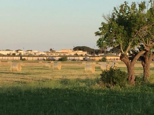 Apartamento Casa-zino