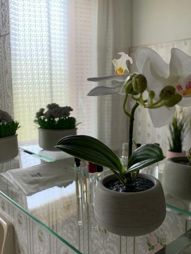 Apartamento Villa Pelorias