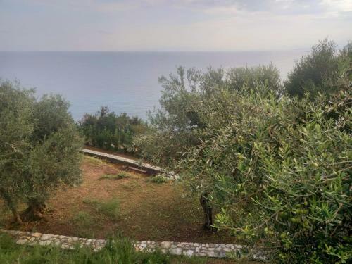 Villa The Cliff House
