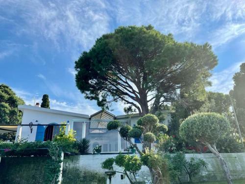 Villa The Cliff House