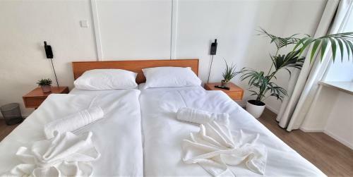 Rosa Rooms Meran