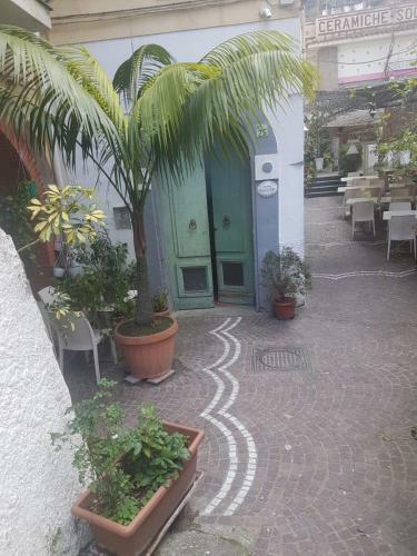 Apartamento Casa Lul�