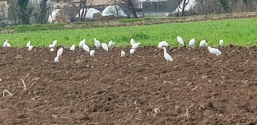 Agroturismo Az.agr.cascina Moretta