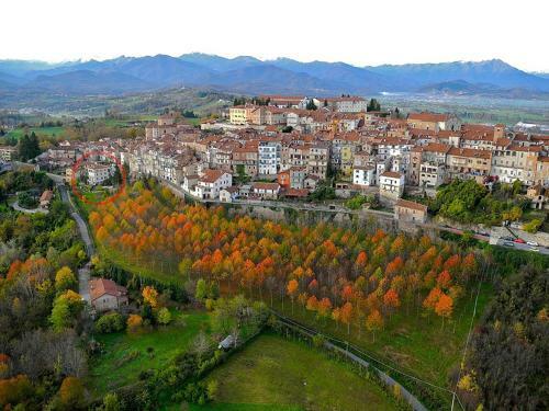Langhe Apartment - Mondov�