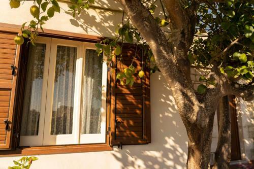 Agroturismo La Casa Dei Limoni