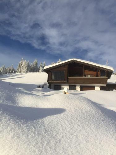 Chalet Wiesenblick