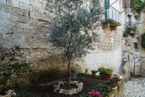 Apartamento Ulivo Nella Corte