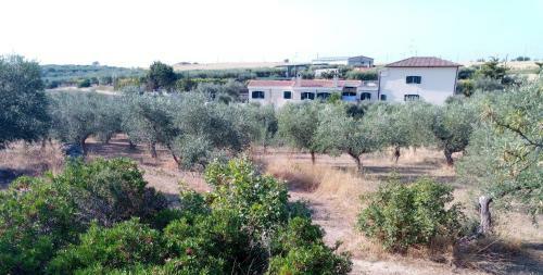 Apartamento Dimore All'ofra