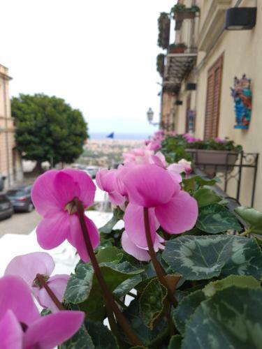 Apartamento Arianna?s Rent