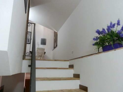 Agroturismo Agriturismo Ai Monaci