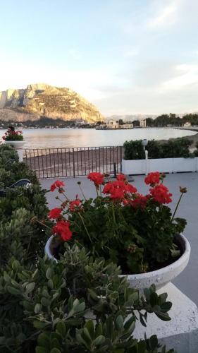 Apartamento Casa Vacanze Rosamarina
