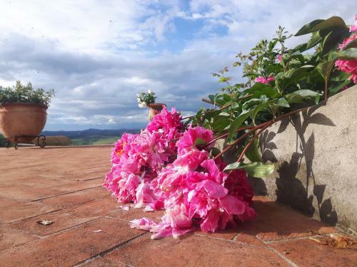 Villa Vittoria Tuscany