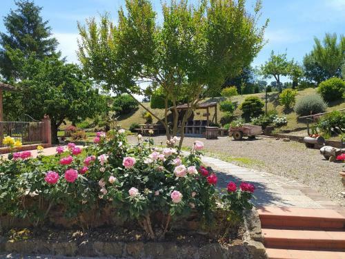 Spacious Apartment In Montaione With Shared Swimming Pool