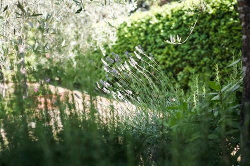 Apartamento Tenuta Delle Rose