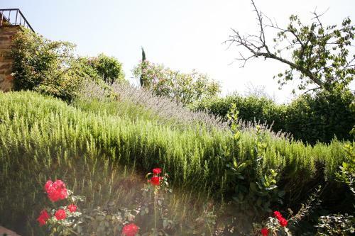 Apartamento Tenuta Delle Rose