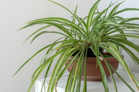 Apartamento Bilo45