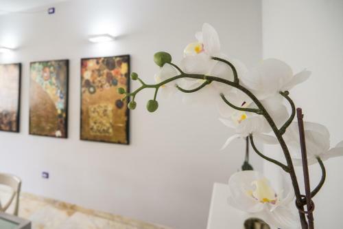 Apartamento Primopiano - Rg12
