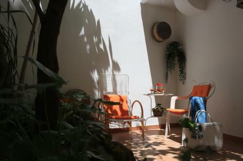 Apartamento Il Cedrangolo House Tree